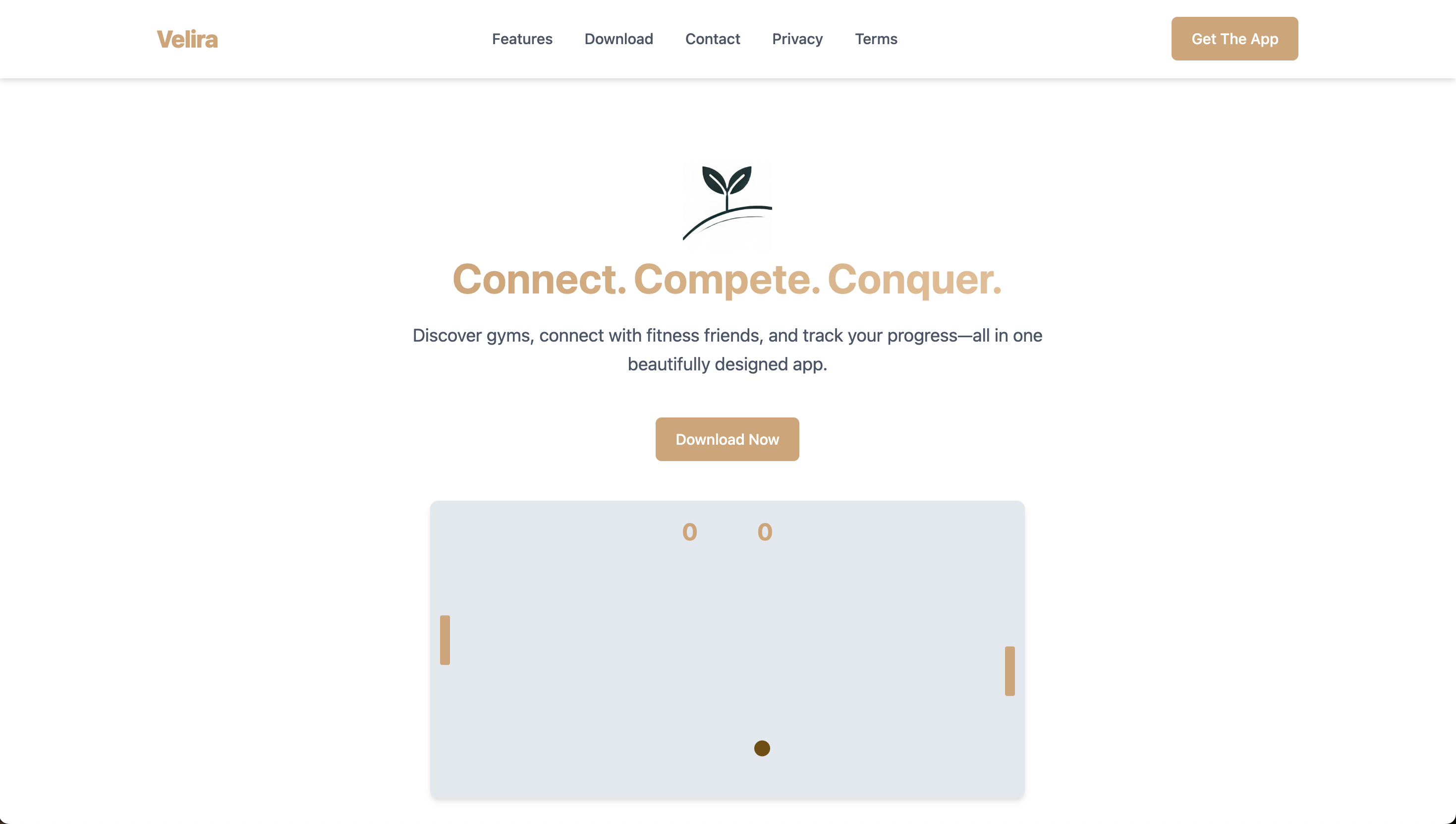 Screenshot of Velira